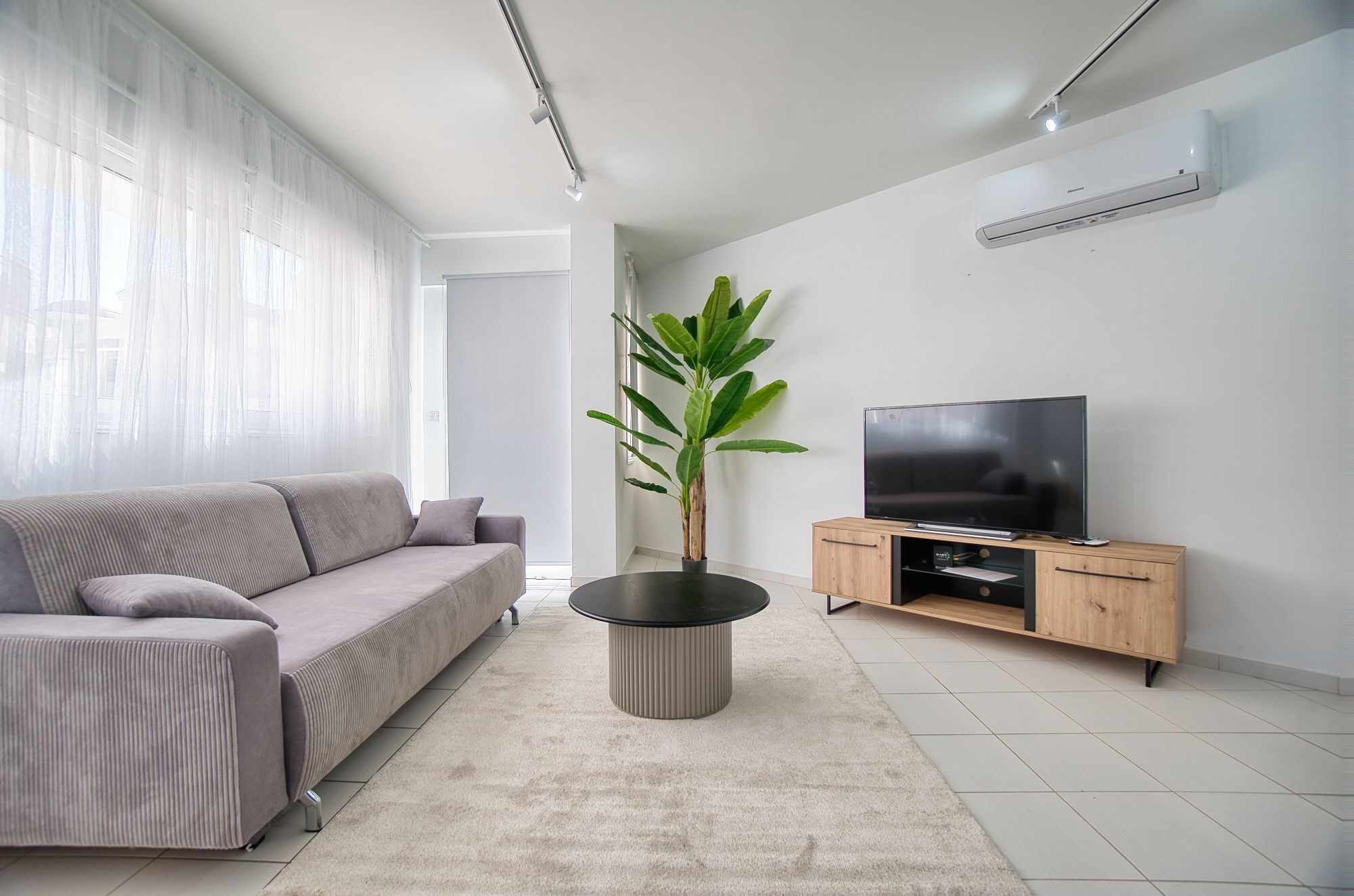 Un salon moderne avec un canapé, une table basse, un téléviseur posé sur un meuble en bois et une plante en pot.