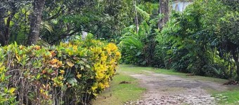 Marvelous 1-bedroom apartment in Negril with WiFi