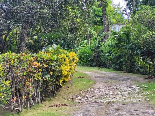 Fantastic 1-bedroom apartment in Negril with WiFi access