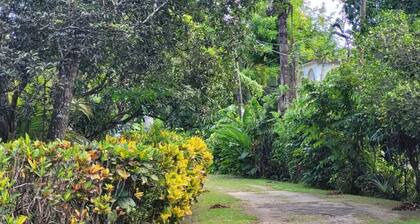 Charming 1-bedroom apartment in Negril with WiFi access