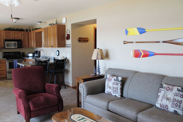 Téléviseur, foyer, lecteur de DVD, livres