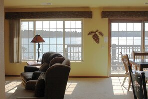 Télévision, cheminée, lecteur de DVD, livres