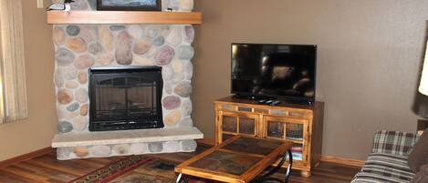 Télévision, cheminée, lecteur de DVD, livres