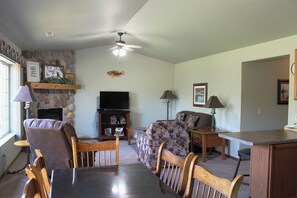 Télévision, cheminée, lecteur de DVD, livres