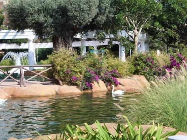 Property grounds - APCOSTAS Marina Dor 1 line side sea view (Oropesa)