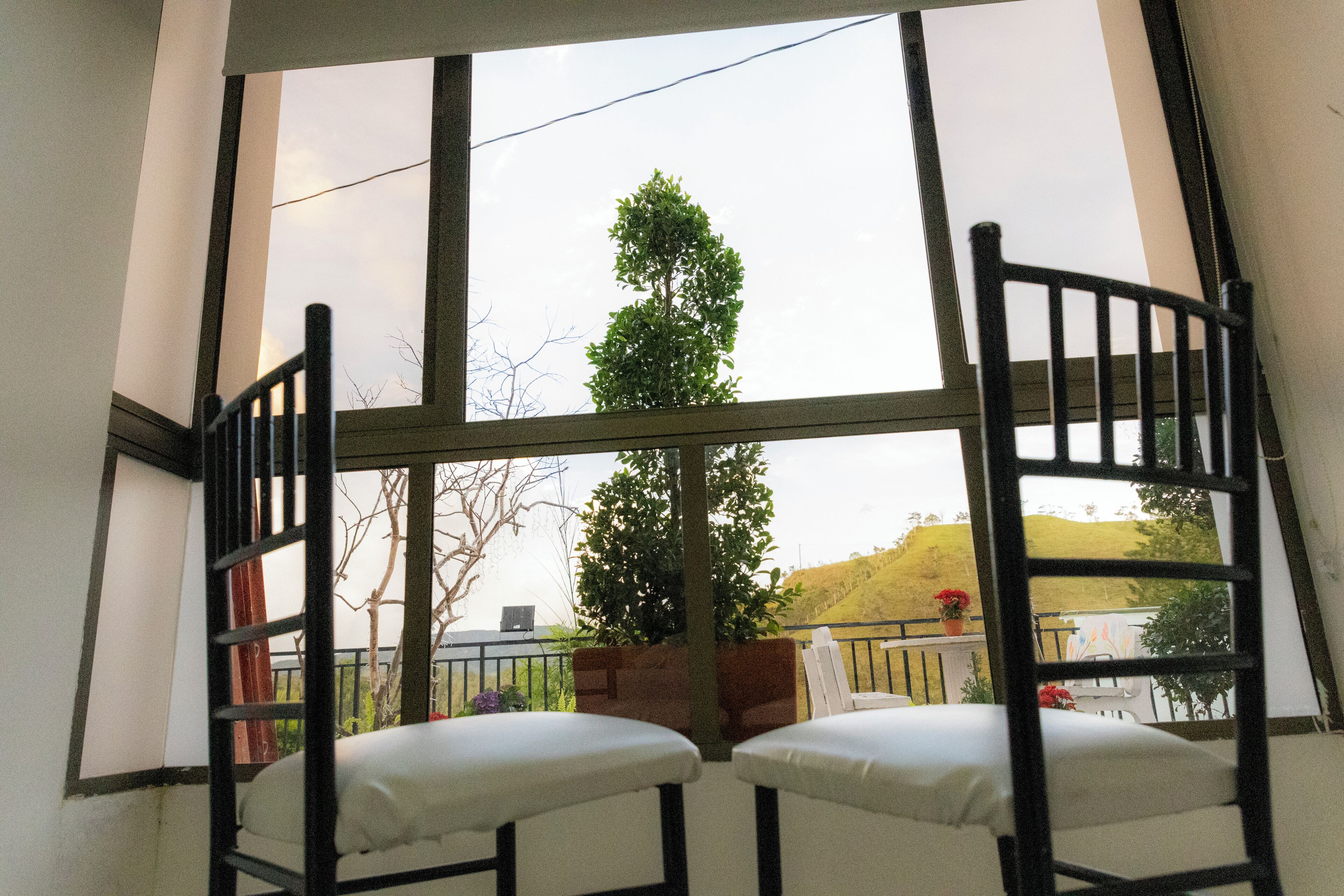 A balcony with two white cushioned chairs, a potted plant, and a view of a tree and landscape.