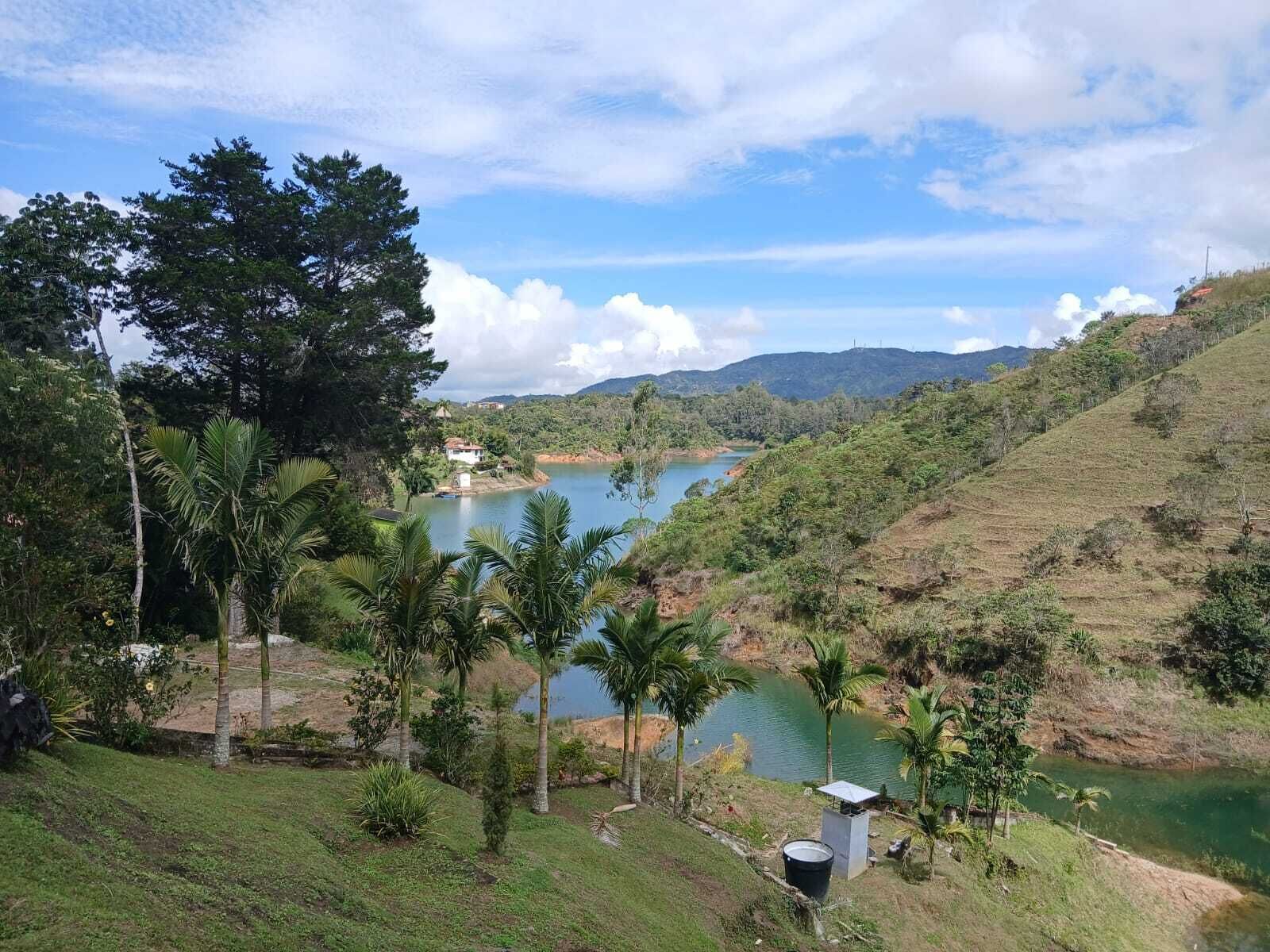 A lush landscape with a river, palm trees, and a small building near the water.