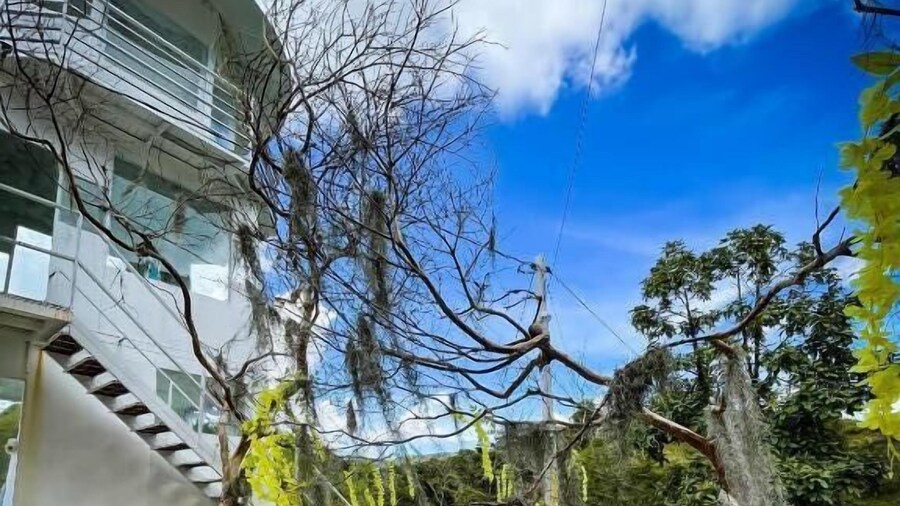 Hotel Bahía Del Faro