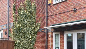 A brick house with a white door and windows, a small garden with a tree and shrubs, and a wooden fence. - Entire house 🏠.  suitable for families and workers.  (Middlesbrough)