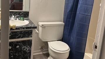 A bathroom with a toilet, sink, and shower curtain.