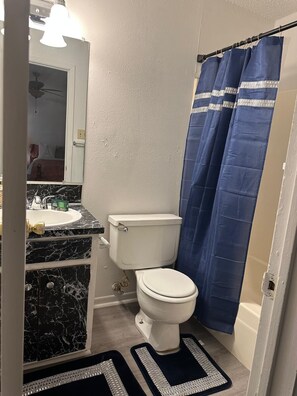 Ein Badezimmer mit Toilette, Waschbecken und Duschvorhang.