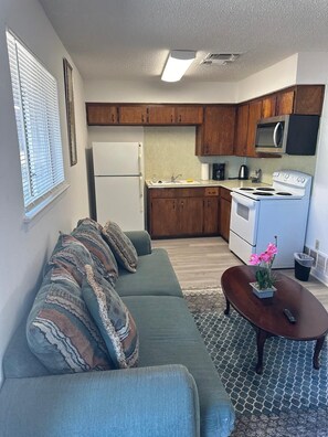 A compact living space with a kitchenette, a sofa with patterned cushions, a coffee table with a flower vase, and a remote control on the table.