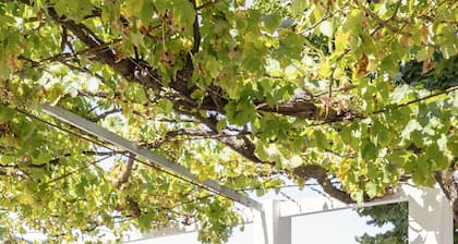 Arneiro Garden House - Country Retreat w/ BioPool