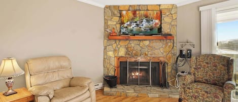 Televisión, chimenea y reproductor de DVD