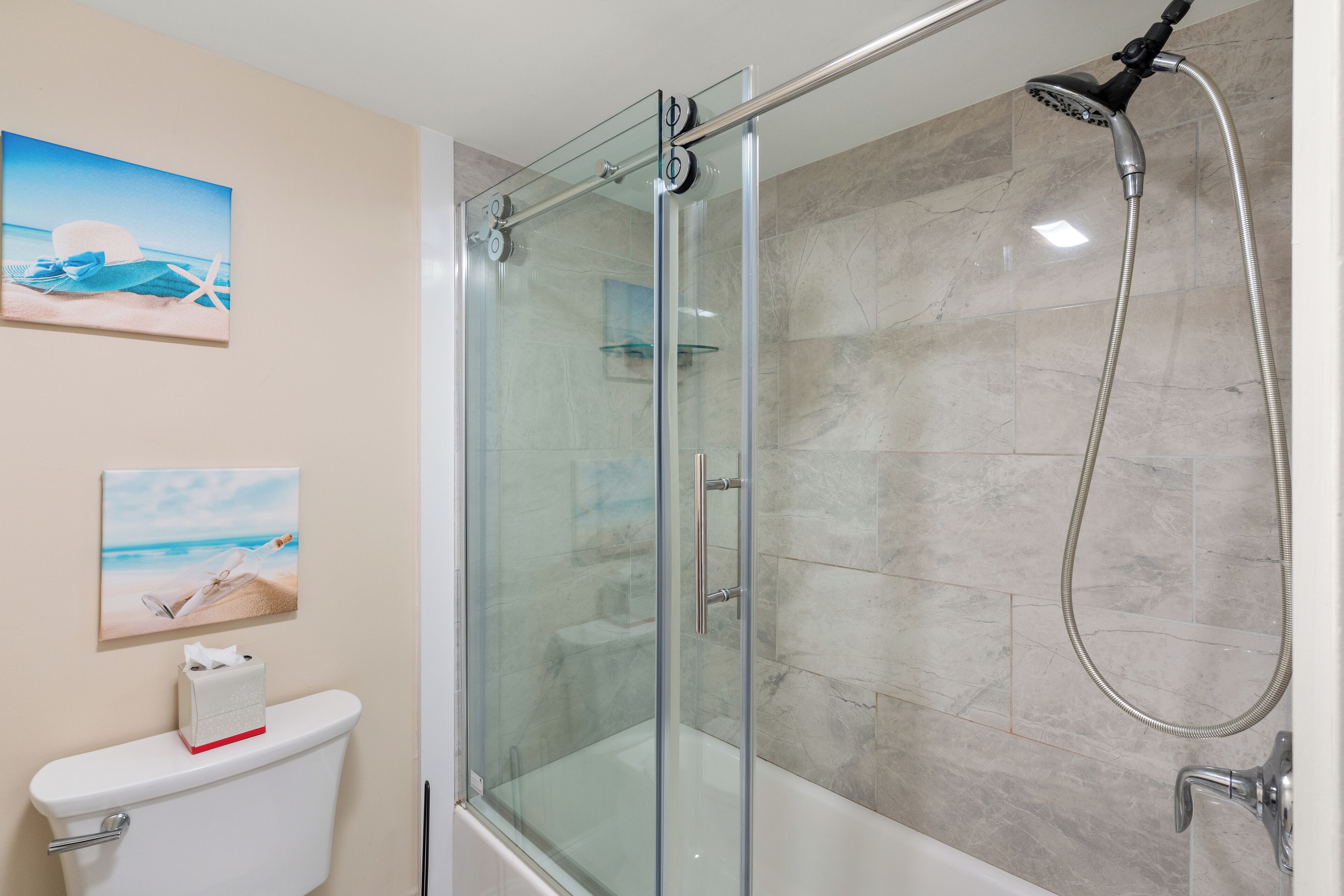 A glass-enclosed shower with a handheld showerhead, a white toilet, and a framed beach scene on the wall.