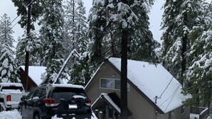A house surrounded by snow-covered trees and a car partially buried in snow.