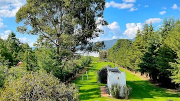 Family House, Lake View | Terrace/patio