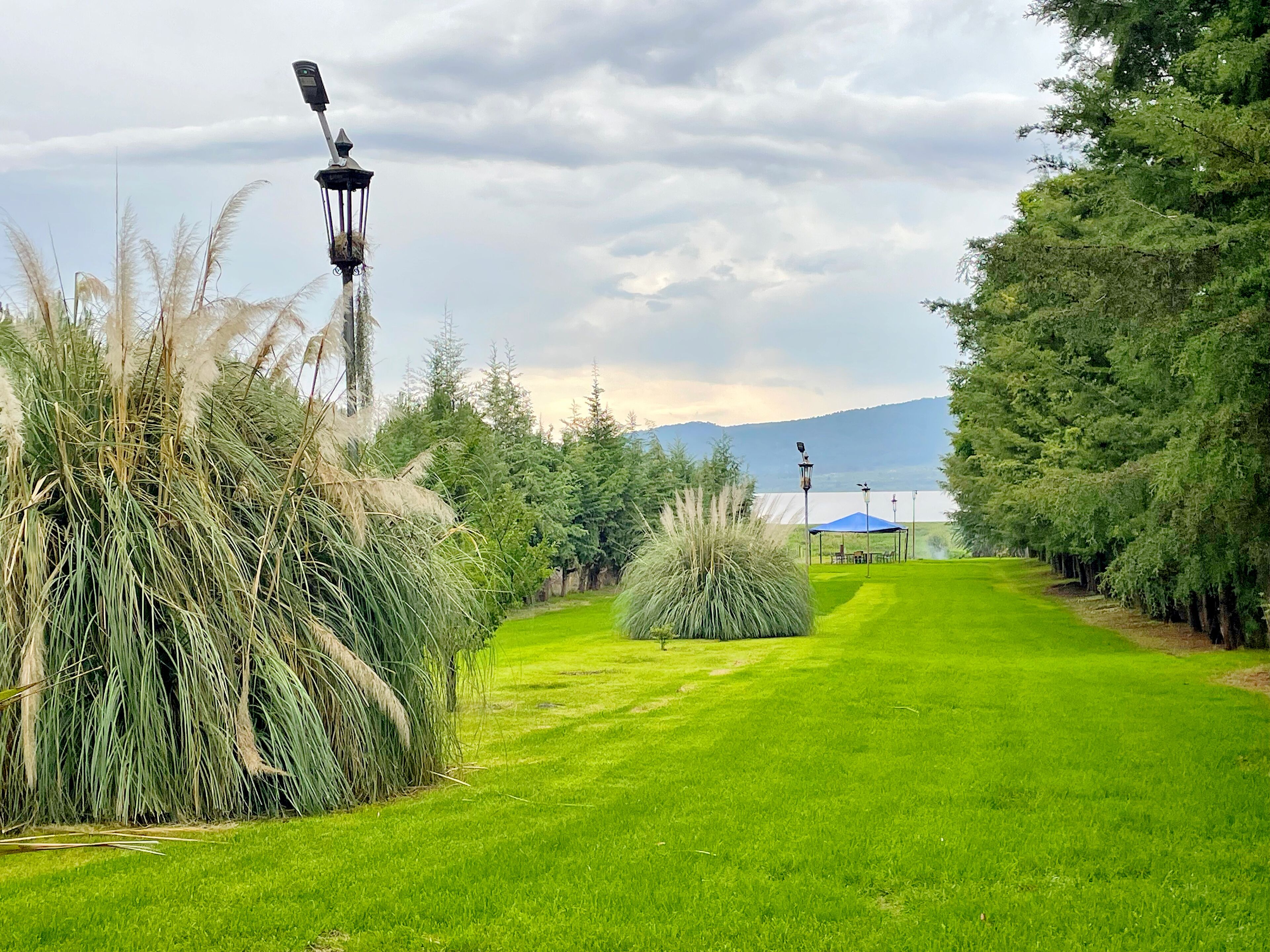 A well-maintained grassy area with a gazebo and lamp posts, surrounded by trees and pampas grass.
