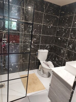 Hair dryer, towels, toilet paper