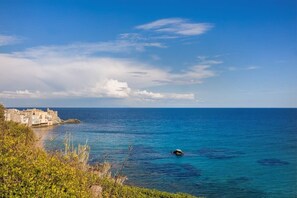 Miscellaneous - Villa Erbalunga (Erbalunga)