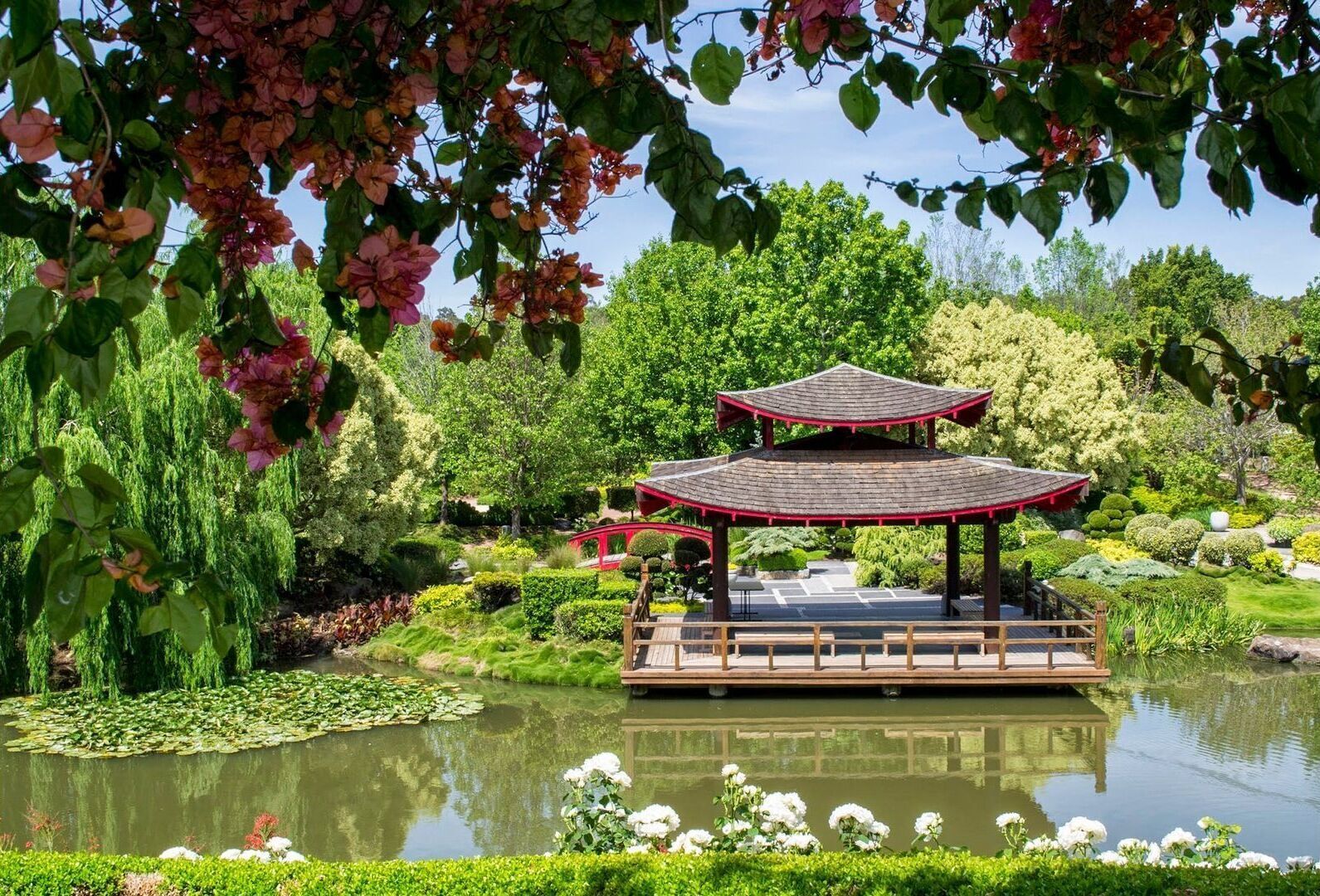 Un pavillon de style japonais traditionnel, construit au-dessus d’un étang et entouré d’une végétation luxuriante et de plantes en fleurs.