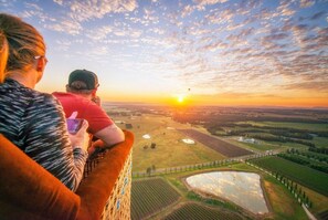 A panoramic view of a landscape with fields, a pond, and a distant building, viewed from a high vantage point. - Travertine Vineyard Retreat - Stay Among the Vines (Pokolbin)