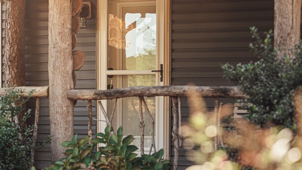 Une véranda en bois avec une porte, entourée de verdure et d’un arbre.