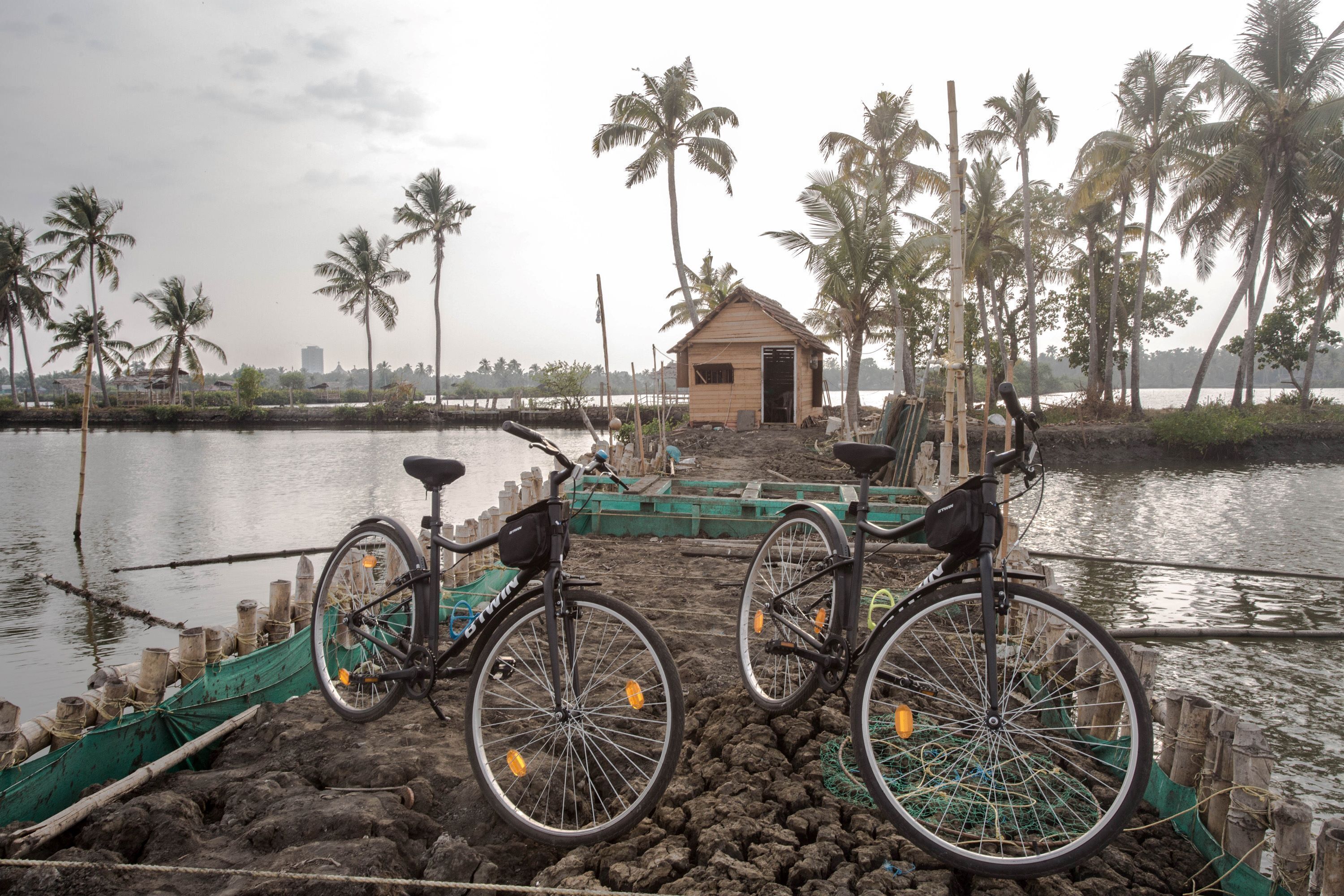 Una bicicleta estacionada cerca de una pequeña estructura de madera a orillas de un cuerpo de agua tranquilo, rodeado de palmeras y barcos pesqueros.