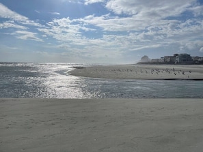 Beach - Cherry Moon -a charming 2-bedroom condo with WiFi, AC in welcoming Myrtle Beach (Myrtle Beach)