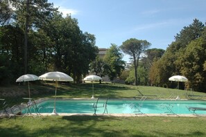 Une piscine entourée d’arbres, avec des chaises longues et des parasols.