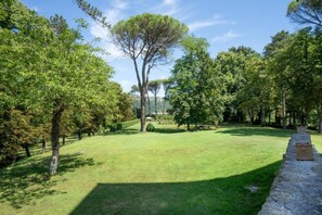 Un espace extérieur verdoyant, avec des arbres et un mur en pierre.