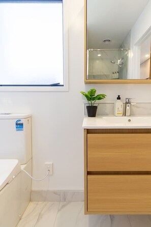 Hair dryer, towels, soap, shampoo