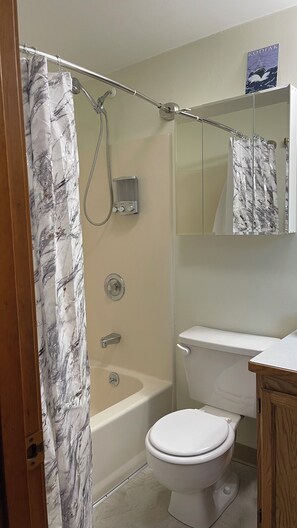 Hair dryer, towels, soap, shampoo