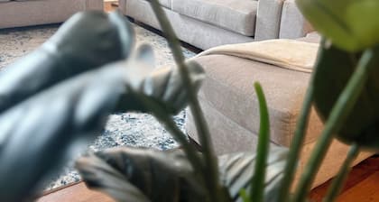 Charming 2-Bedroom Apartment in Downtown Pittsburgh Amazing Views/Gym/Parking