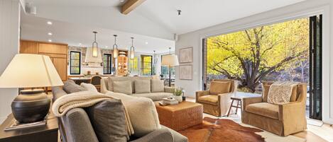 TV, fireplace, offices