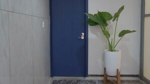 A blue door with a handle, a potted plant with large green leaves, and a tiled floor.