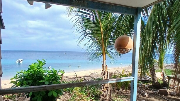 A covered outdoor area with a view of the beach, a white plastic chair, and a hanging pot. - Stay on Mer (Murray Island)