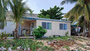 A small, single-story house with a blue roof and white walls, surrounded by palm trees and overgrown vegetation. - Stay on Mer (Murray Island)