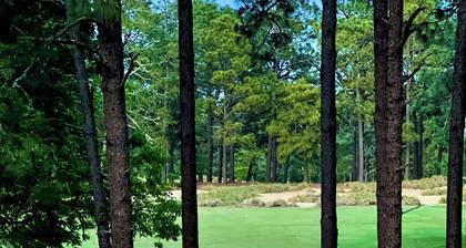 ThePalmerRetreat-CentralDr•SaltWaterPool•HotTub•FirePit•MinsToDT.SP/Pinehurst