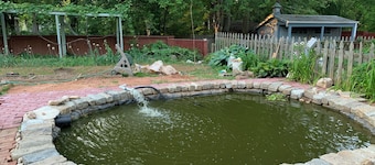 Charming 1-bedroom house in fabulous Fairfax with WiFi, AC, fitness room
