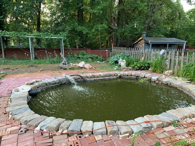 Charming 1-bedroom house in fabulous Fairfax with WiFi, AC, fitness room