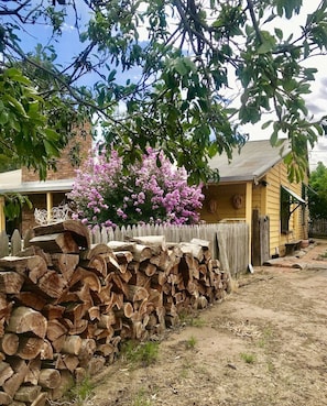 Área da propriedade