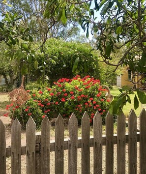 Overnattingsstedets uteområder