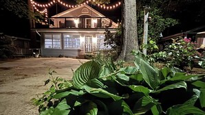 A house with a porch and string lights, surrounded by large green plants.