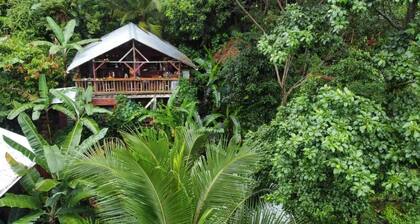 Manipura Room: Private Balcony, Hammock & Stunning Jungle Views!
