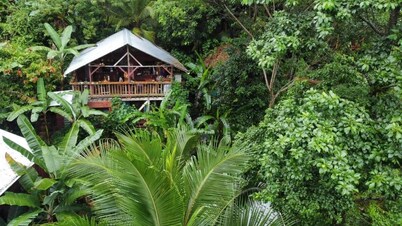 Manipura Room: Private Balcony, Hammock & Stunning Jungle Views!