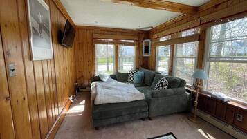 Smart TV, fireplace, books