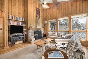 Smart TV, fireplace, books