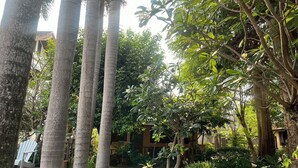 A courtyard with tall palm trees, potted plants, and a pathway leading to a building. - The Royal Shilton Resort (Chiang Mai)
