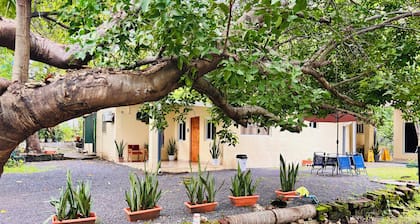 Hostal Camilas